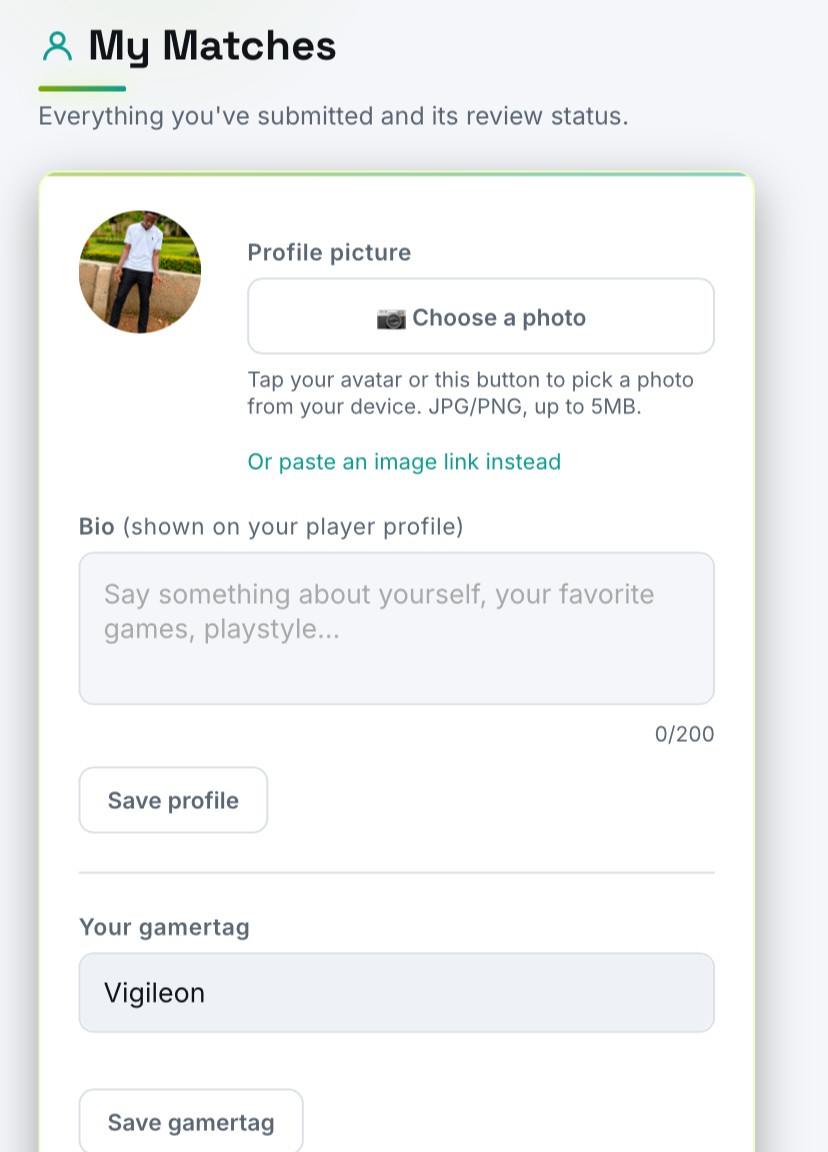 Vigileon League player profile and match history